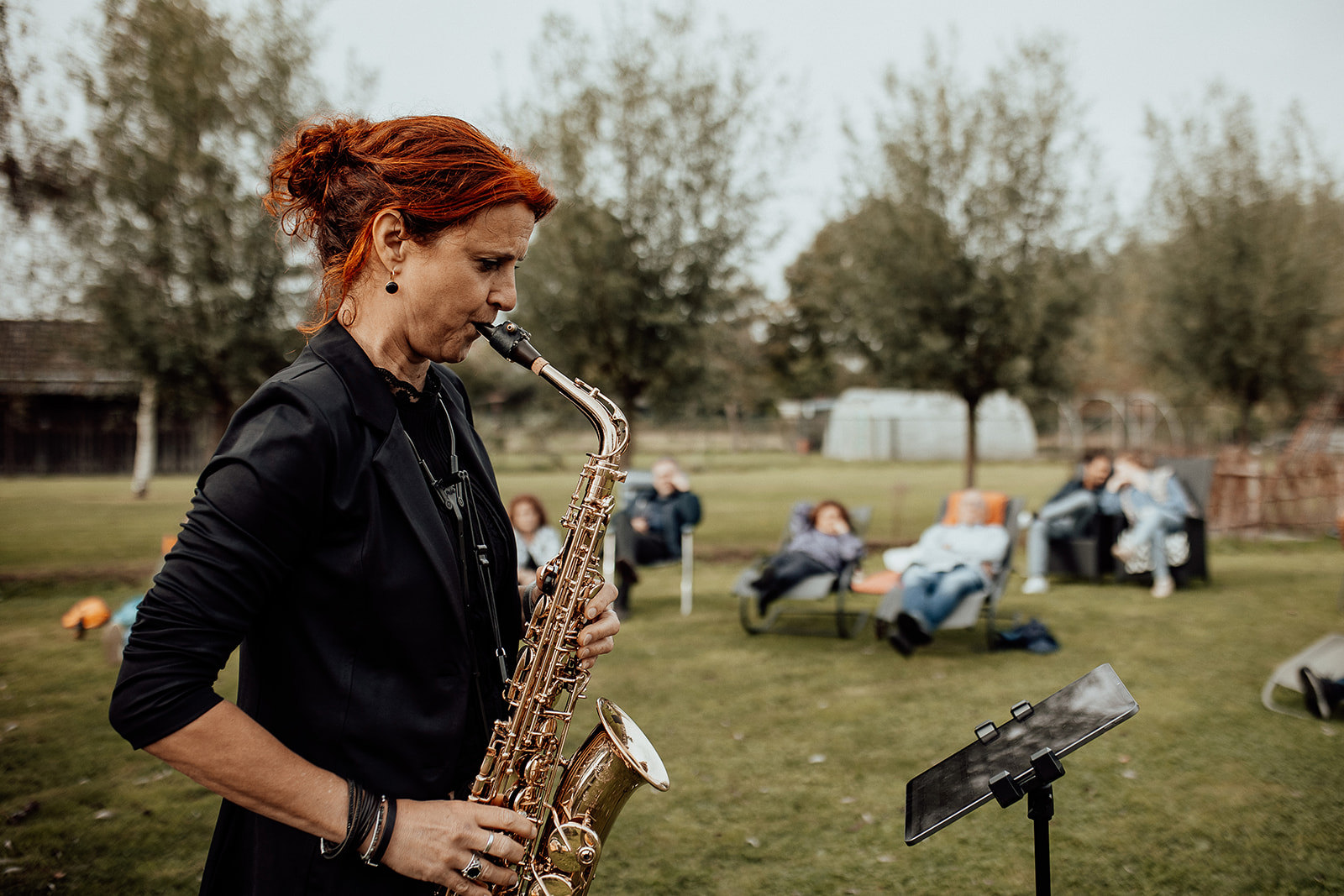 Ligconcert Ellen Van Geel